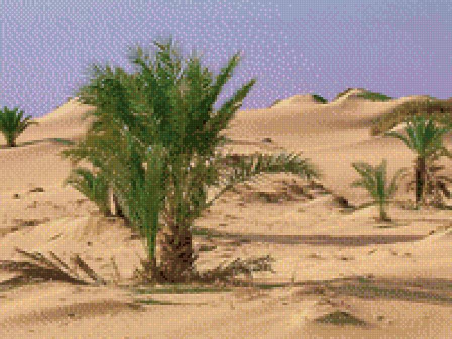 Пустыня Сахара - природа - предпросмотр