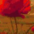 Предпросмотр схемы вышивки «Маковый закат» (№746762)