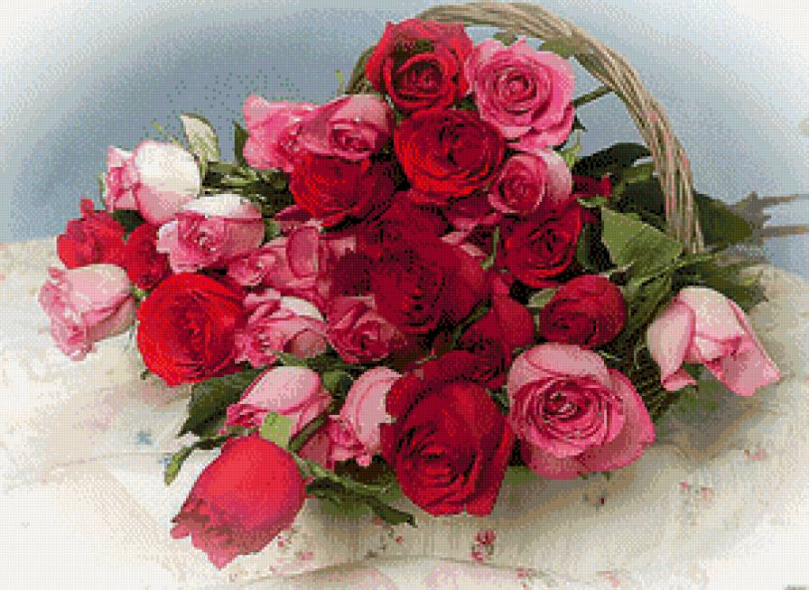 Букет роз - розы. цветы, букет - предпросмотр