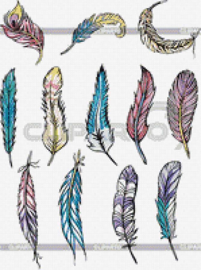 feather - feather перо перья - предпросмотр