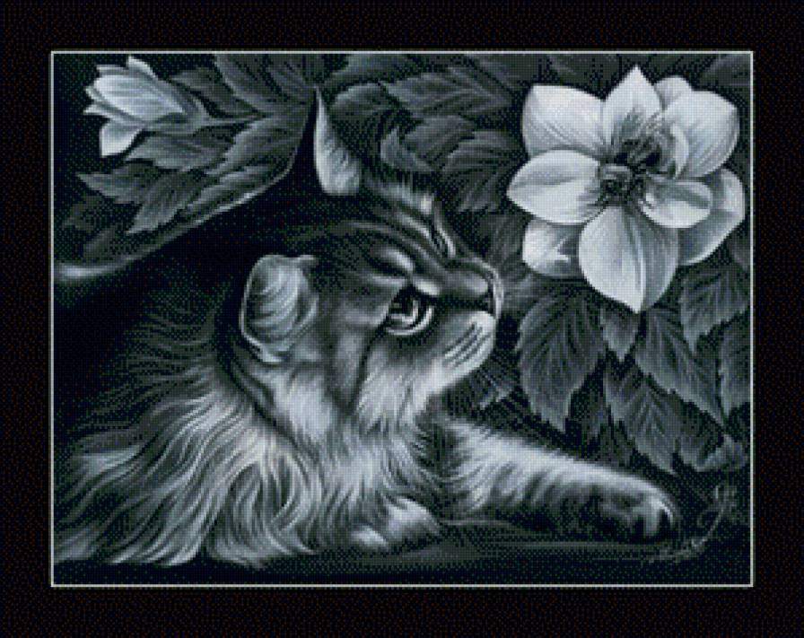 Кот - кот, животные, цветы - предпросмотр