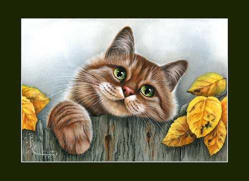 Кот - животные, кот, забор, листва - оригинал