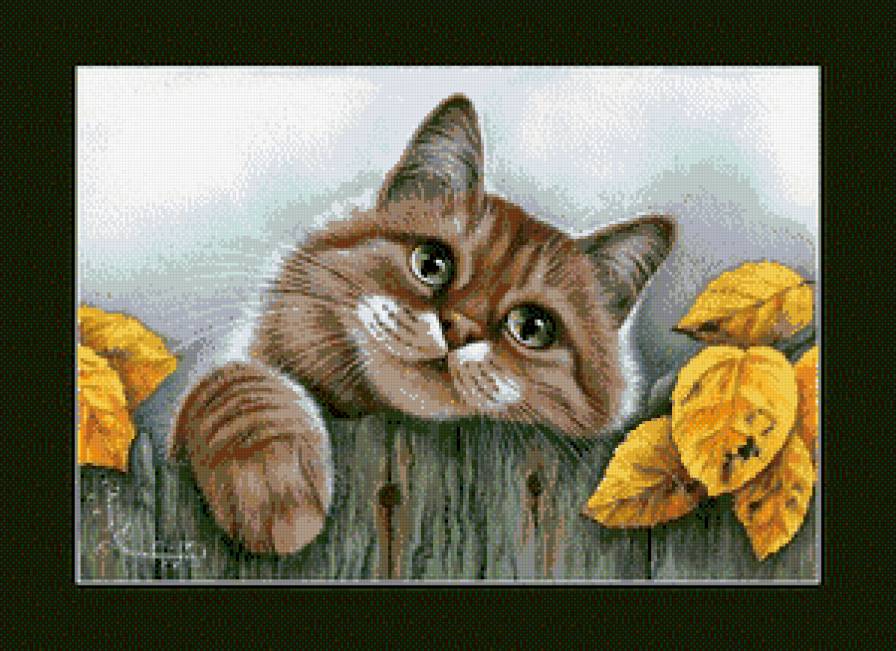 Кот - кот, листва, забор, животные - предпросмотр