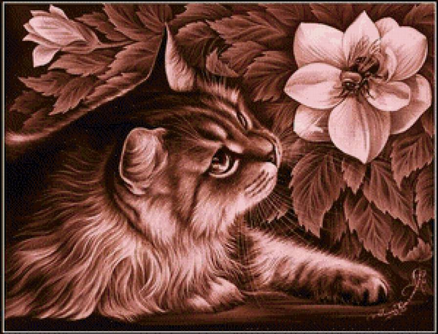 Кот - цветы, животные, кот - предпросмотр