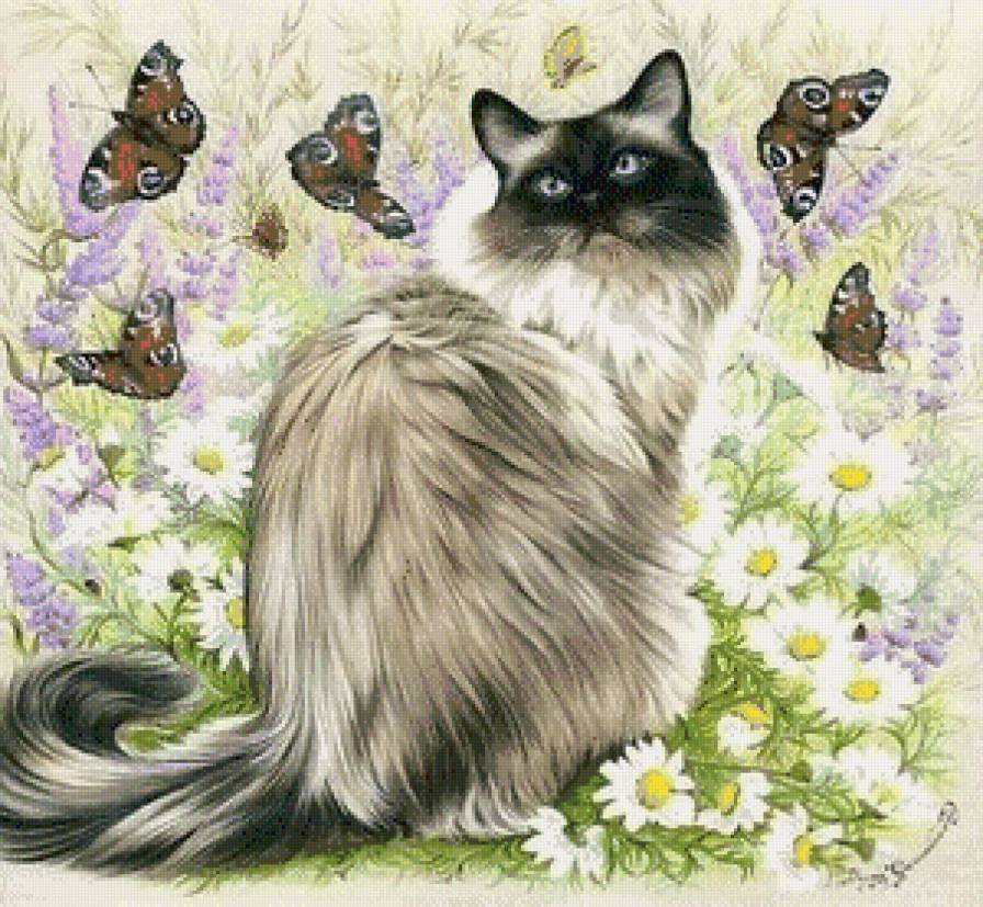 Кошка - животные, цветы, бабочки, кот - предпросмотр