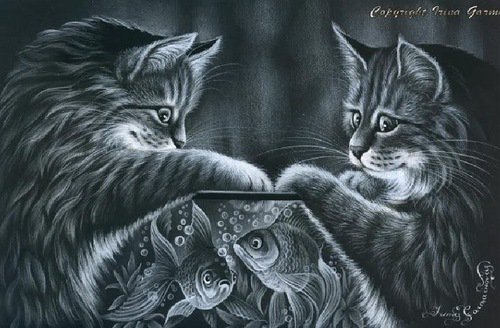 Коты - животные, рыбки, кот - оригинал