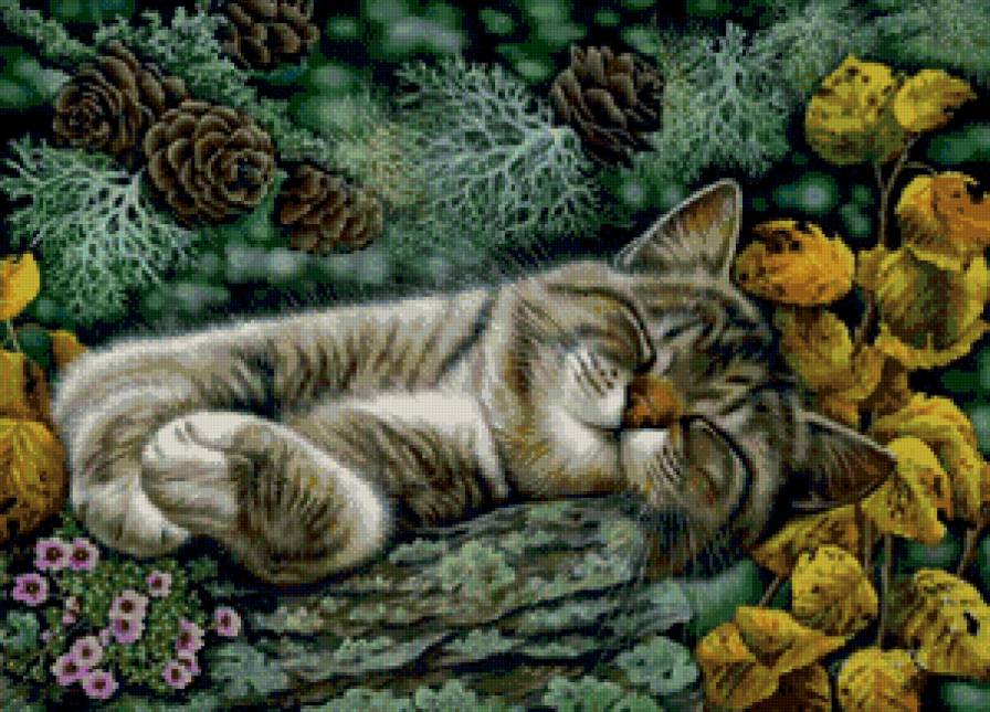Кошка - листва, животные, кот, шишки, цветы - предпросмотр