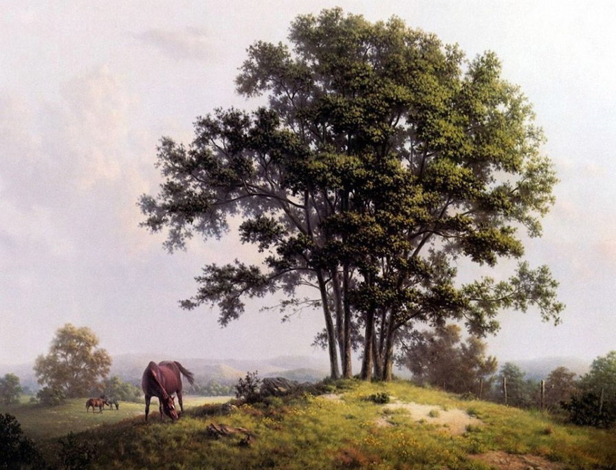 На лугу - пейзаж, животные, конь - оригинал