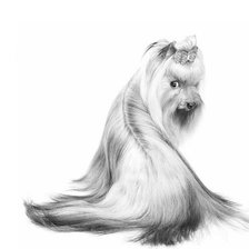 Схема вышивки «йорк карандаш»