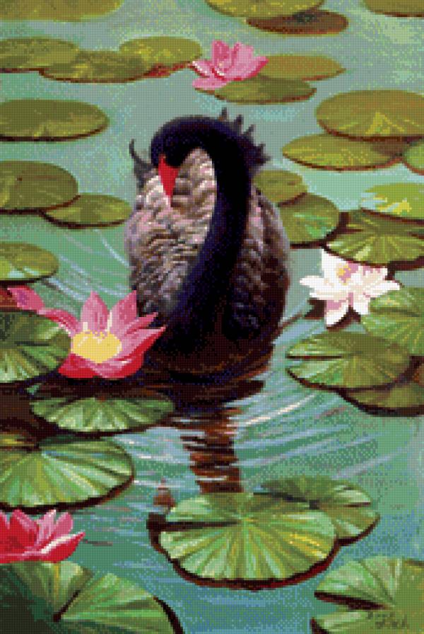 Лебедь на пруду - птицы, пруд, лебедь - предпросмотр