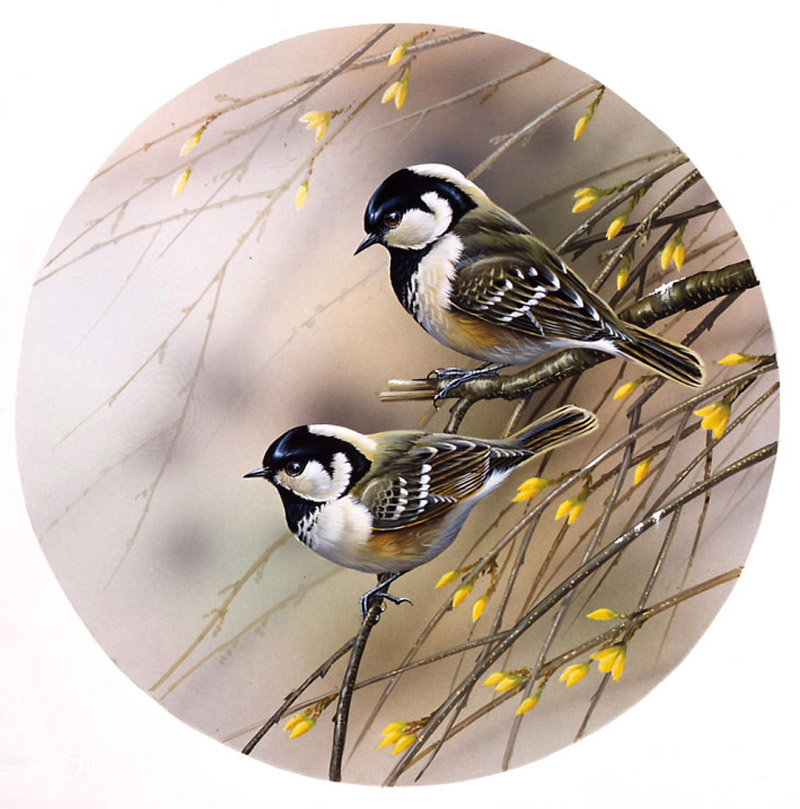 Пернатые - птицы - оригинал