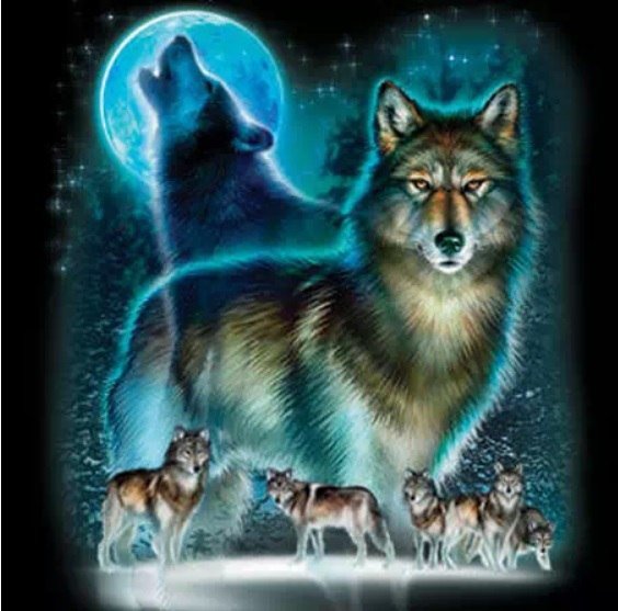 Волки - животные, луна, волки - оригинал