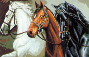 Лошади - лошади, животные, кони - оригинал