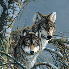 Оригинал схемы вышивки «Волки в зимнем лесу» (№747579)