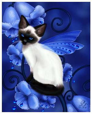 №747762 - оригинал