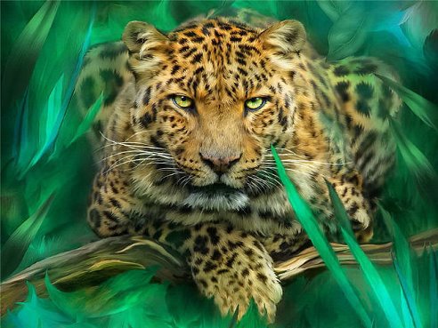 №747778 - оригинал