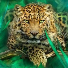 Схема вышивки «№747778»