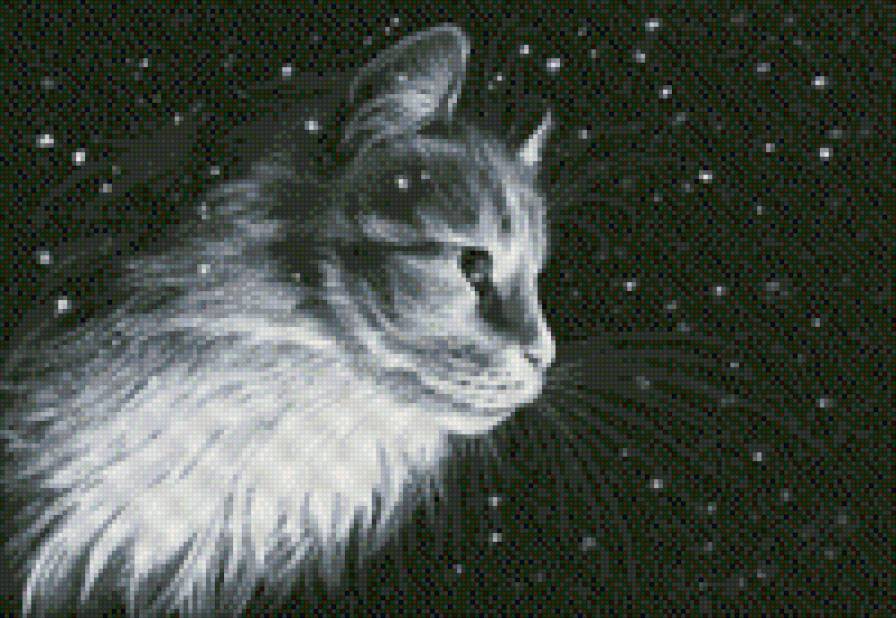 №747783 - предпросмотр