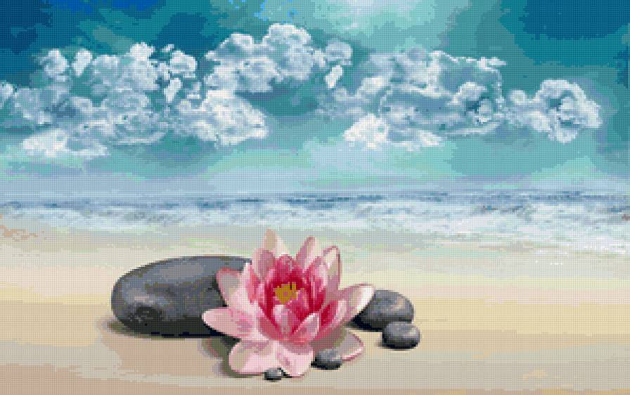 морской натюрморт - море, натюрморт, цветы, песок - предпросмотр