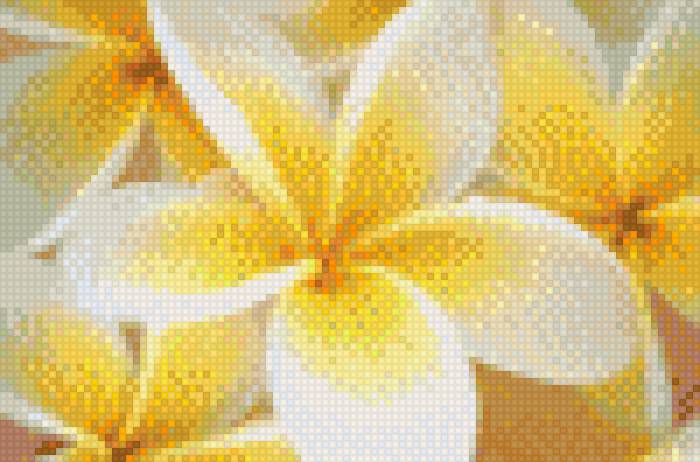 Желтые цветы - цветы - предпросмотр