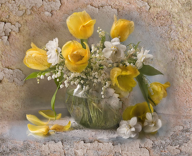 Желтые тюльпаны - цветы - оригинал