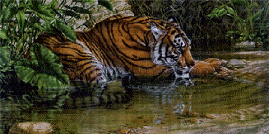 Тигр - предпросмотр