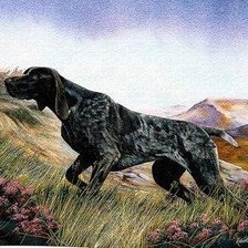 Схема вышивки «курцхаар»