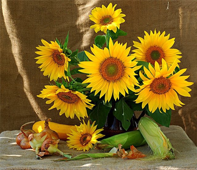 букет - букет - оригинал