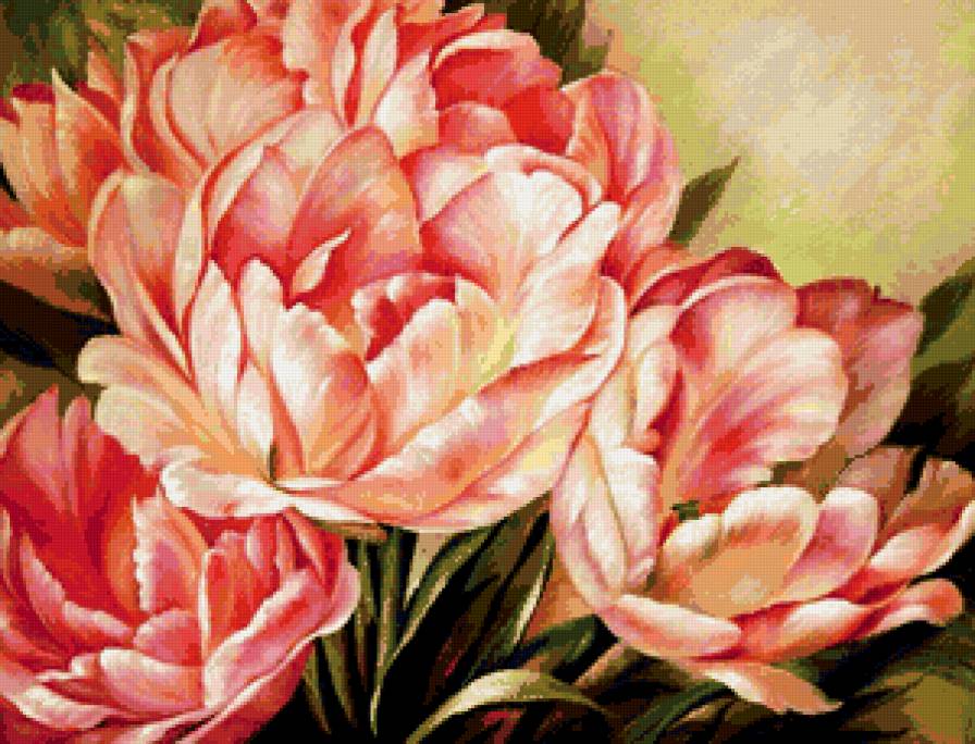 тюльпаны - тюльпаны, цветы - предпросмотр