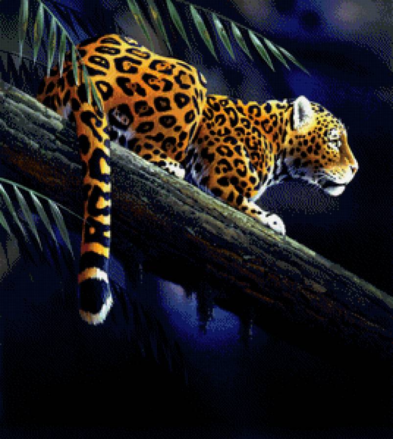 Ночная охота - леопард - предпросмотр