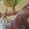 Предпросмотр схемы вышивки «Натюрморт с виноградом и сливами» (№748325)