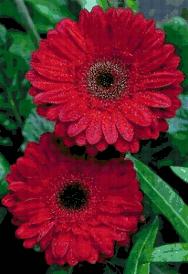 Hermosa Flor - flores - предпросмотр