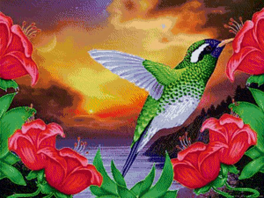 завтрак колибри - рассвет, колибри, птицы, цветы, экзотика, пейзаж, природа - предпросмотр
