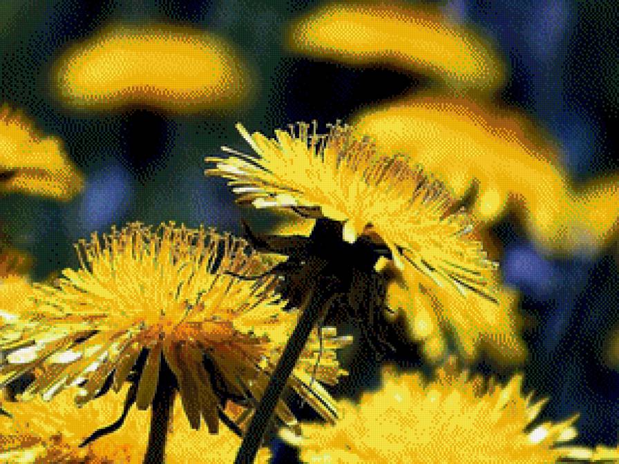 Одуванчики 3D - предпросмотр