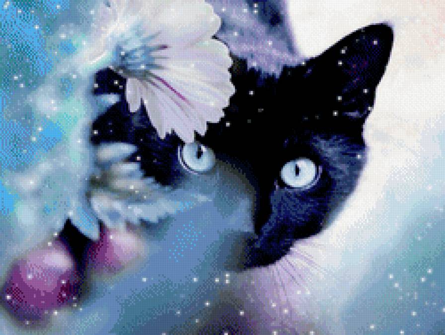 №748422 - волшебство, цветы, кот - предпросмотр