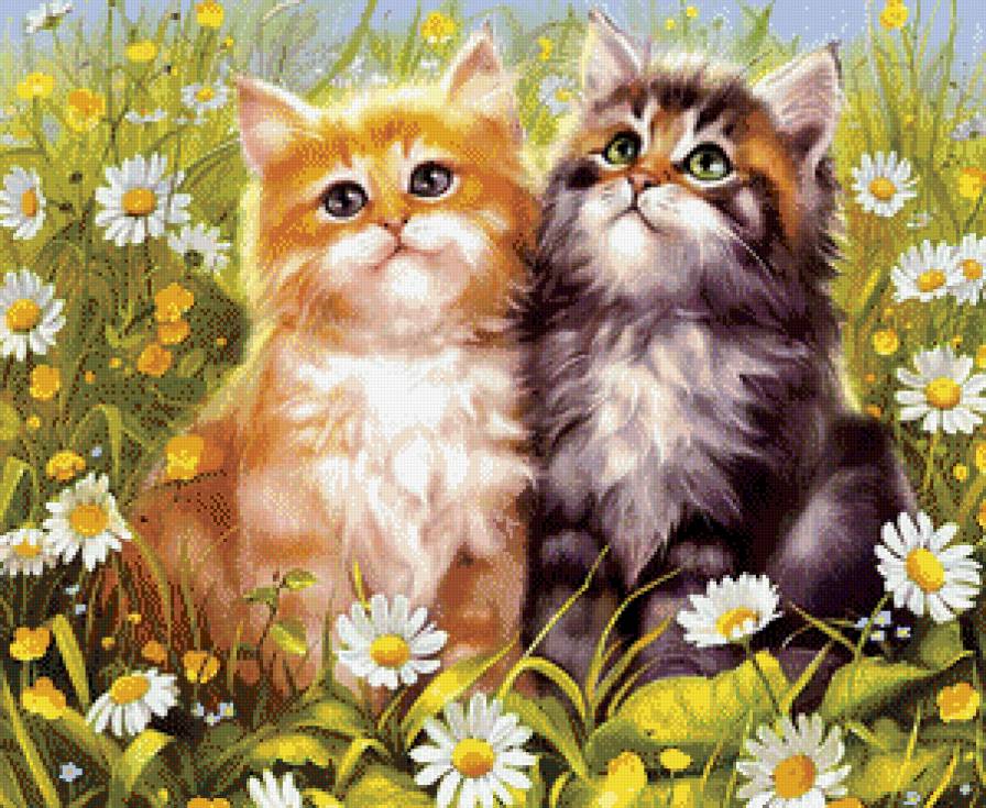 На лугу - коты - предпросмотр