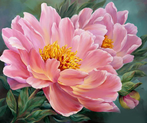 Розовый пион - цветы - оригинал