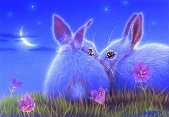 зайки - животные, зайки - оригинал