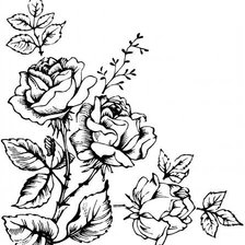 Оригинал схемы вышивки «Подушка Розы черно-белая» (№748655)