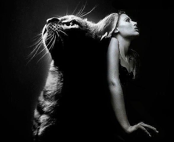 дева - девушка, монохром - оригинал