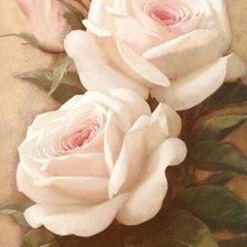 Схема вышивки «Розы»