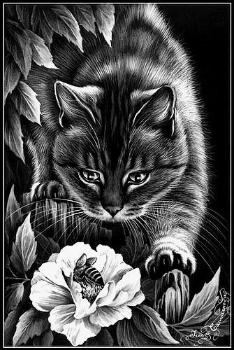 Кошка - монохром, кот, ночь, цветок - оригинал