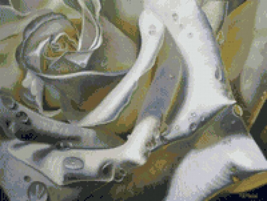 Белая роза - белая, цветок, роза - предпросмотр