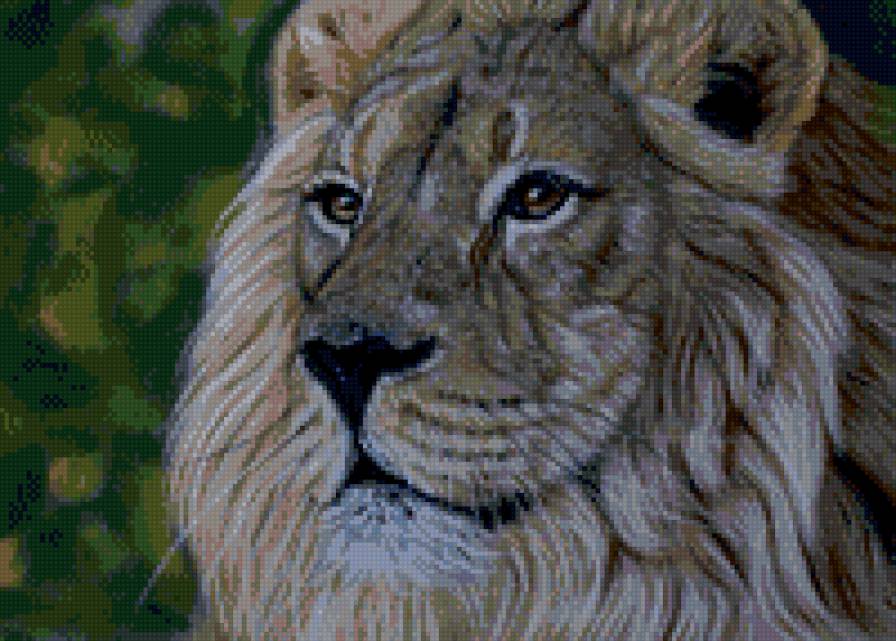 Лев - лев, кошка, животное - предпросмотр