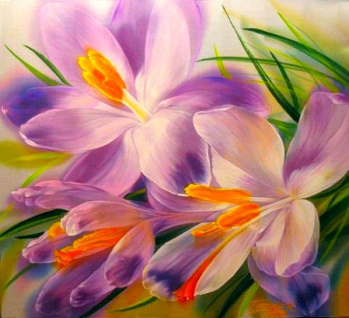 крокусы - оригинал