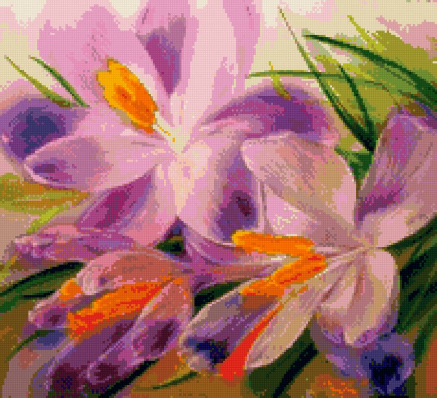 крокусы - предпросмотр