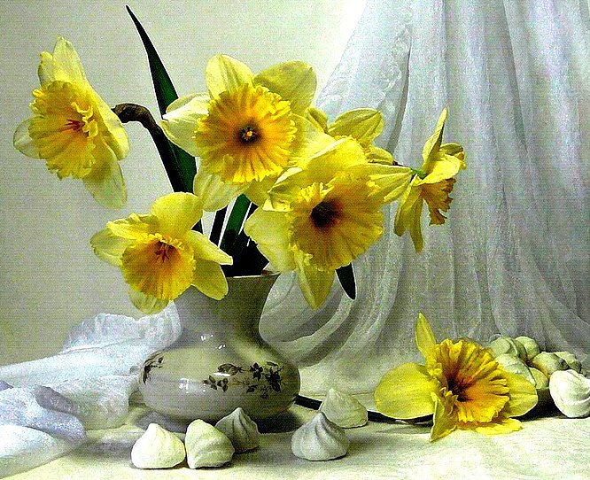 Нарцыссы - цветы, нарциссы, букет - оригинал