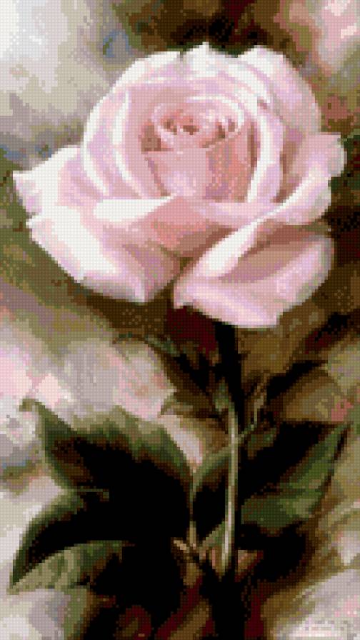 Роза - розовая, цветок, роза - предпросмотр