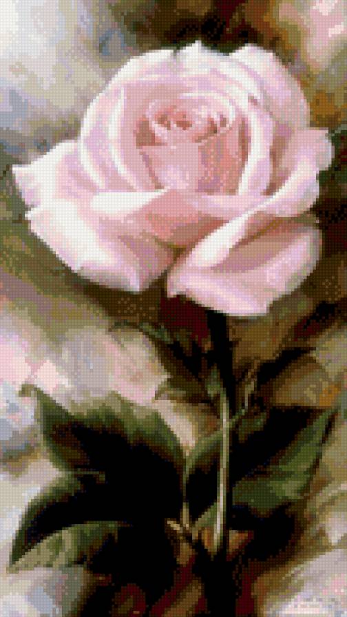 Розовая роза - цветок, розовая, роза - предпросмотр