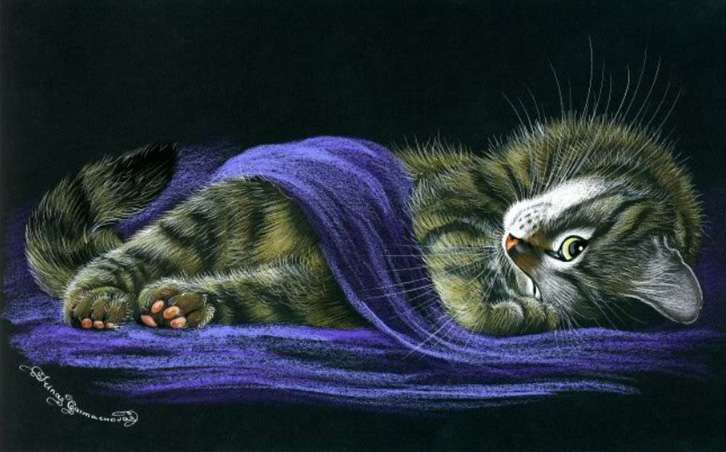 котик спит - голубой, ночь, кот - оригинал